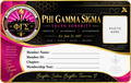 Phi Gamma Sigma Youth